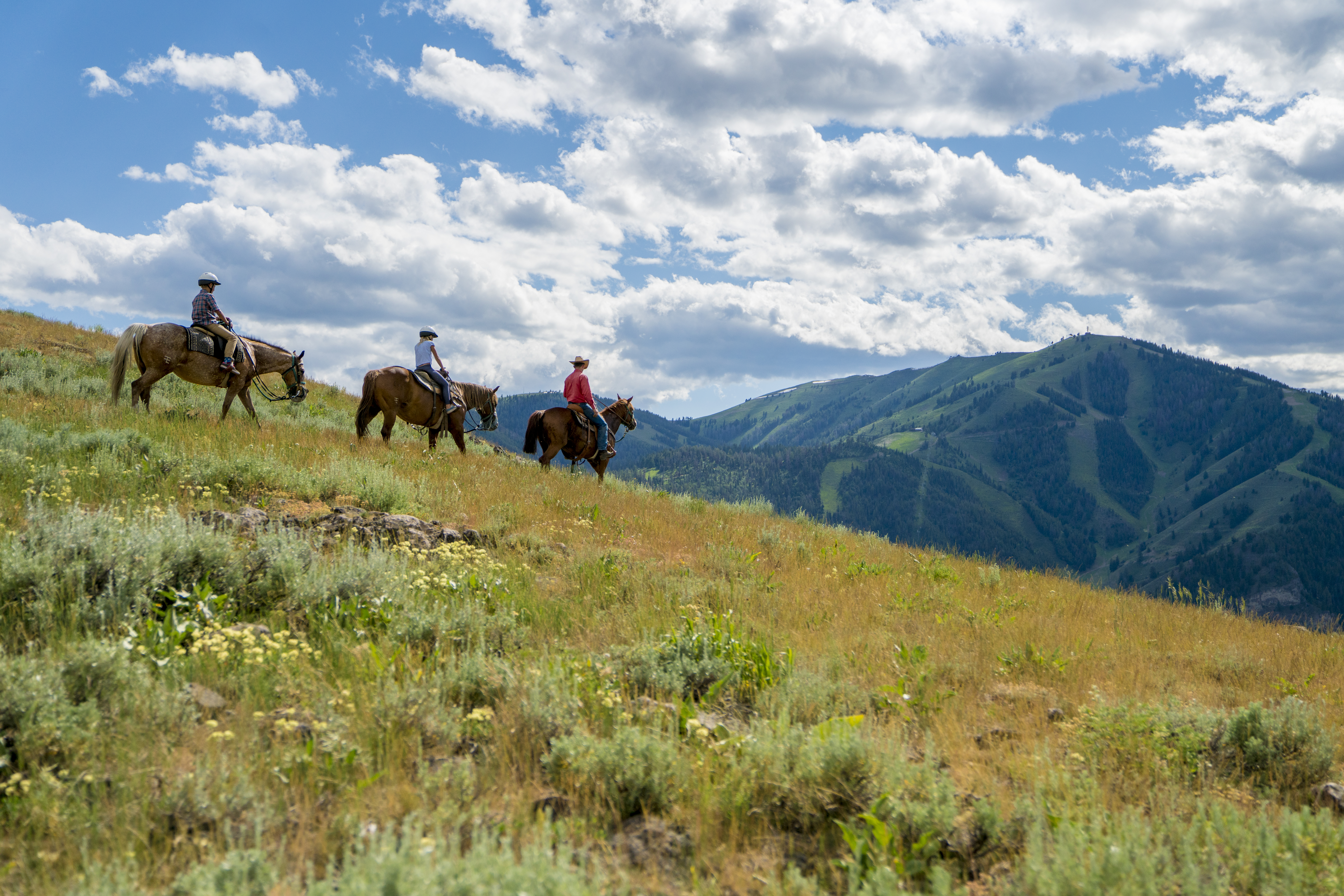 Horseback Riding on Dollar Mountain