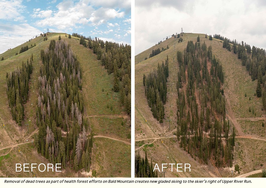 A side-by-side before and after is shown of the area where trees were removed on Bald Mountain as a part of the Bald Mountain Stewardship Project