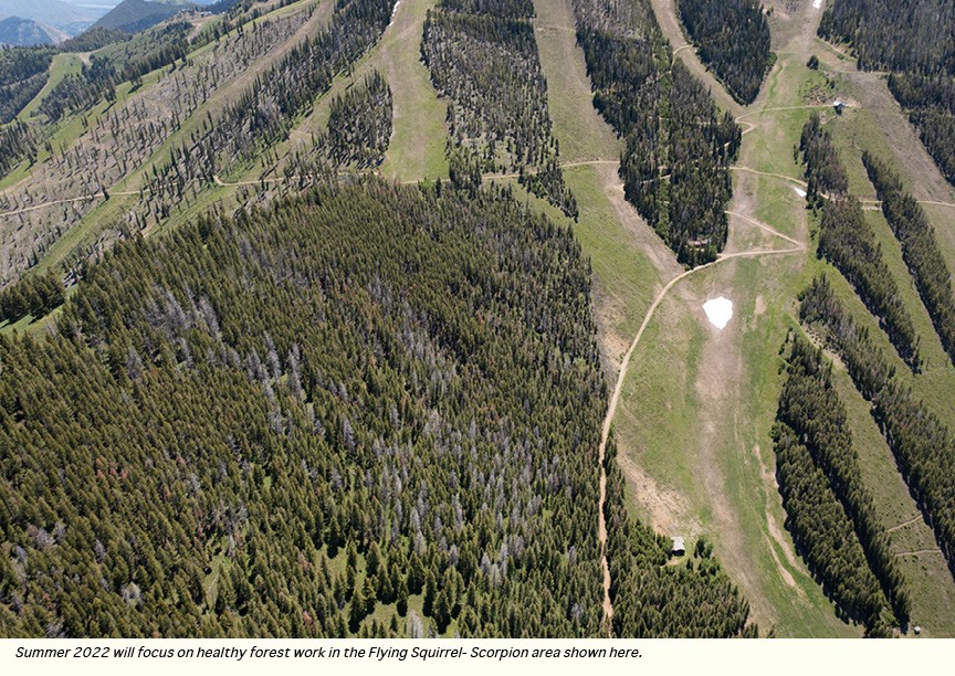 An aerial view of the Flying Squirrel-Scorpion area of Bald Mountain is shown