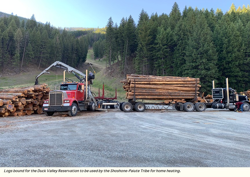 A loaded log truck is shown.